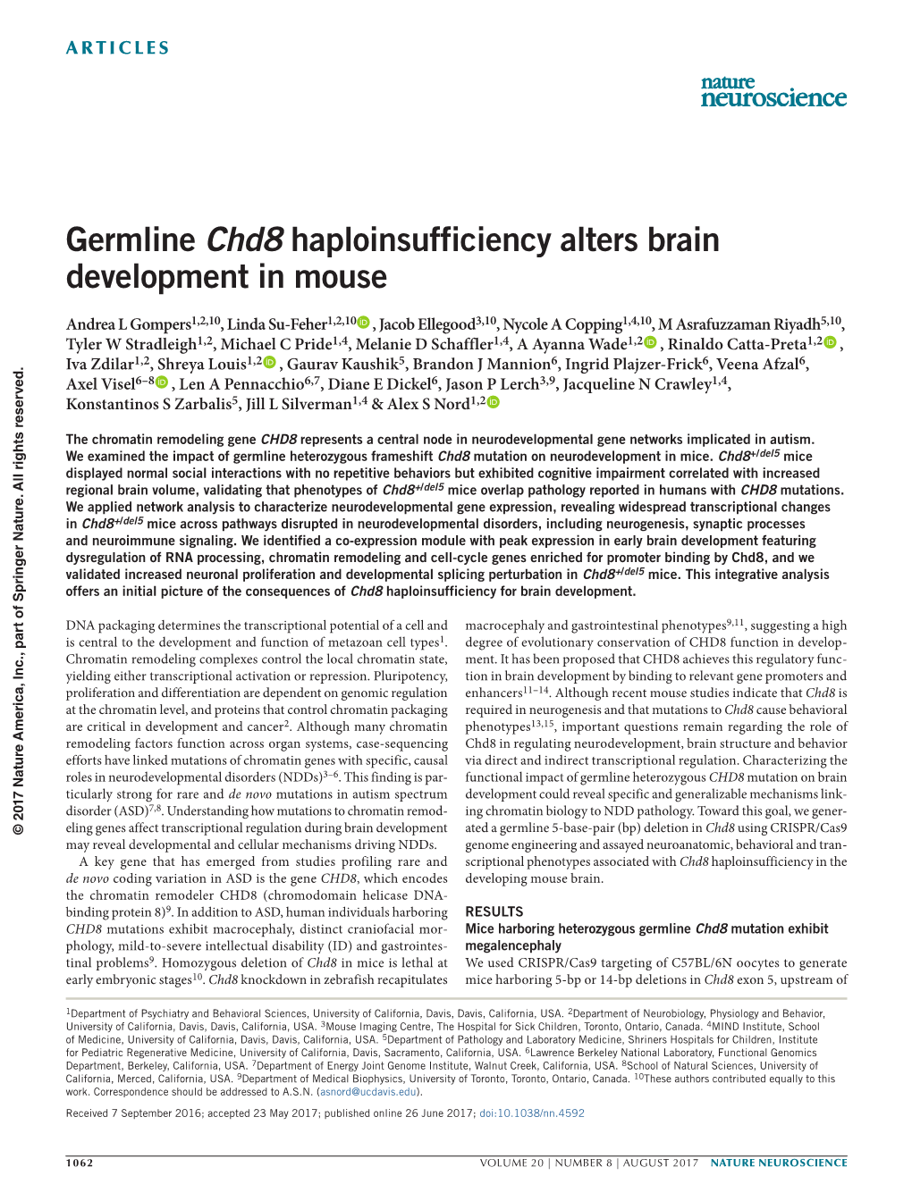 Germline Chd8 Haploinsufficiency Alters Brain Development in Mouse