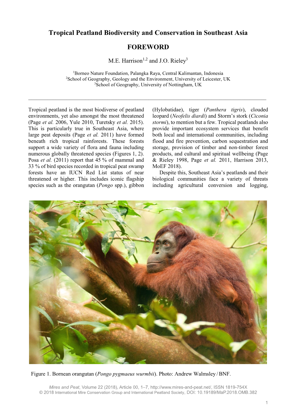 Tropical Peatland Biodiversity and Conservation in Southeast Asia