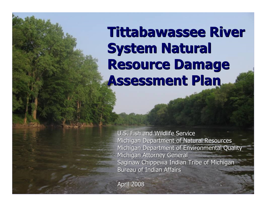 Tittabawassee River System Natural Resource Damage Assessment Plan