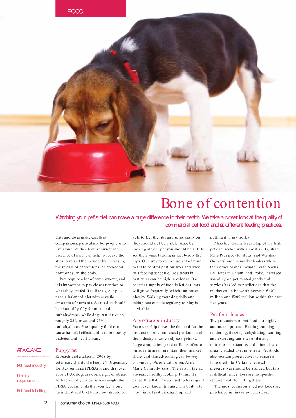 Bone of Contention Watching Your Pet's Diet Can Make a Huge Difference to Their Health