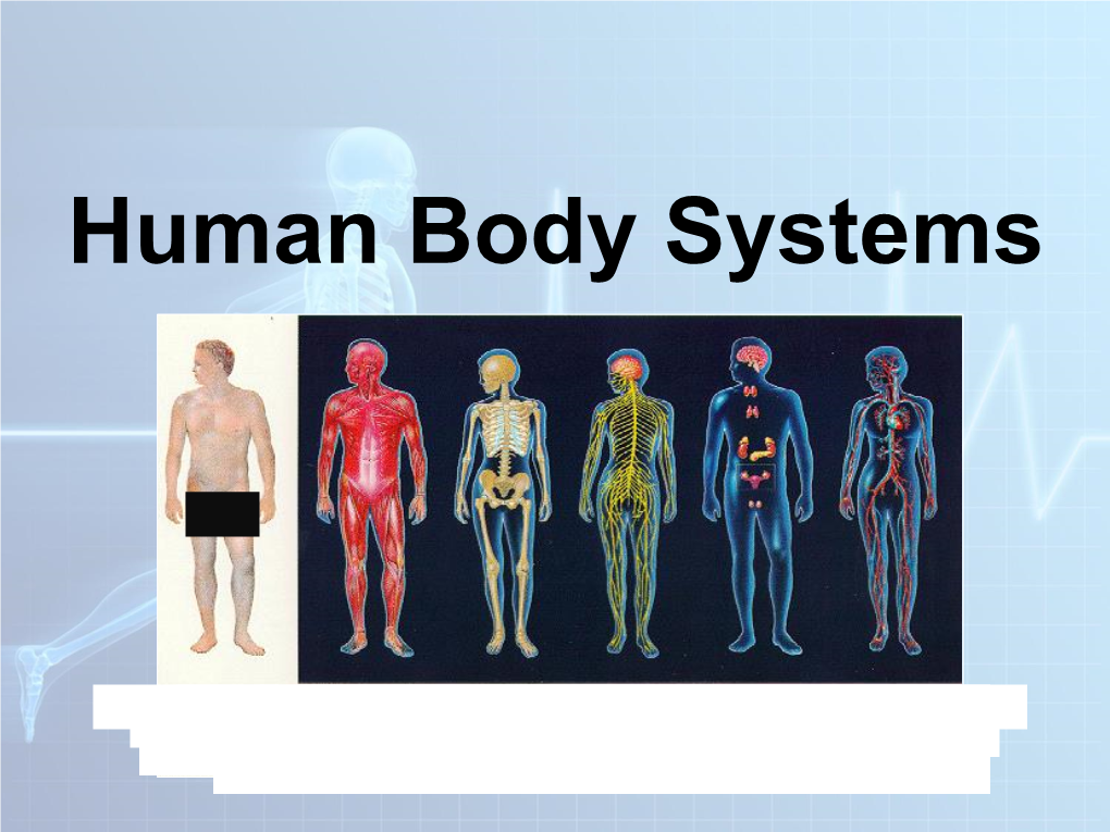 Human Body Systems Regulation and Homeostasis in the Human Body: Quick View Eleven Body Systems Work Together to Maintain Homeostasis