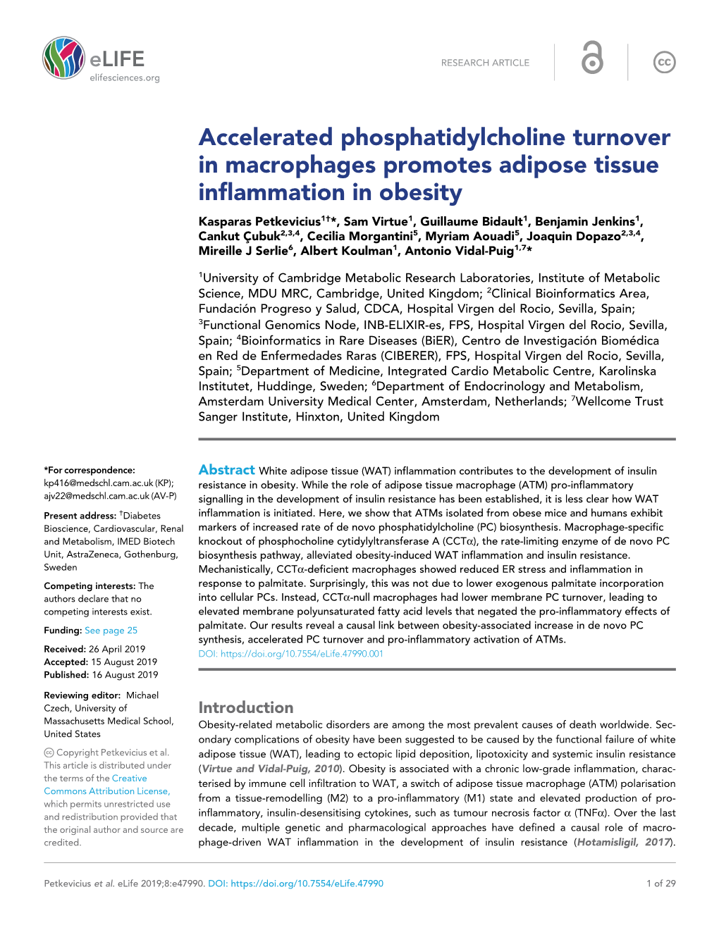 Accelerated Phosphatidylcholine Turnover in Macrophages Promotes Adipose Tissue Inflammation in Obesity