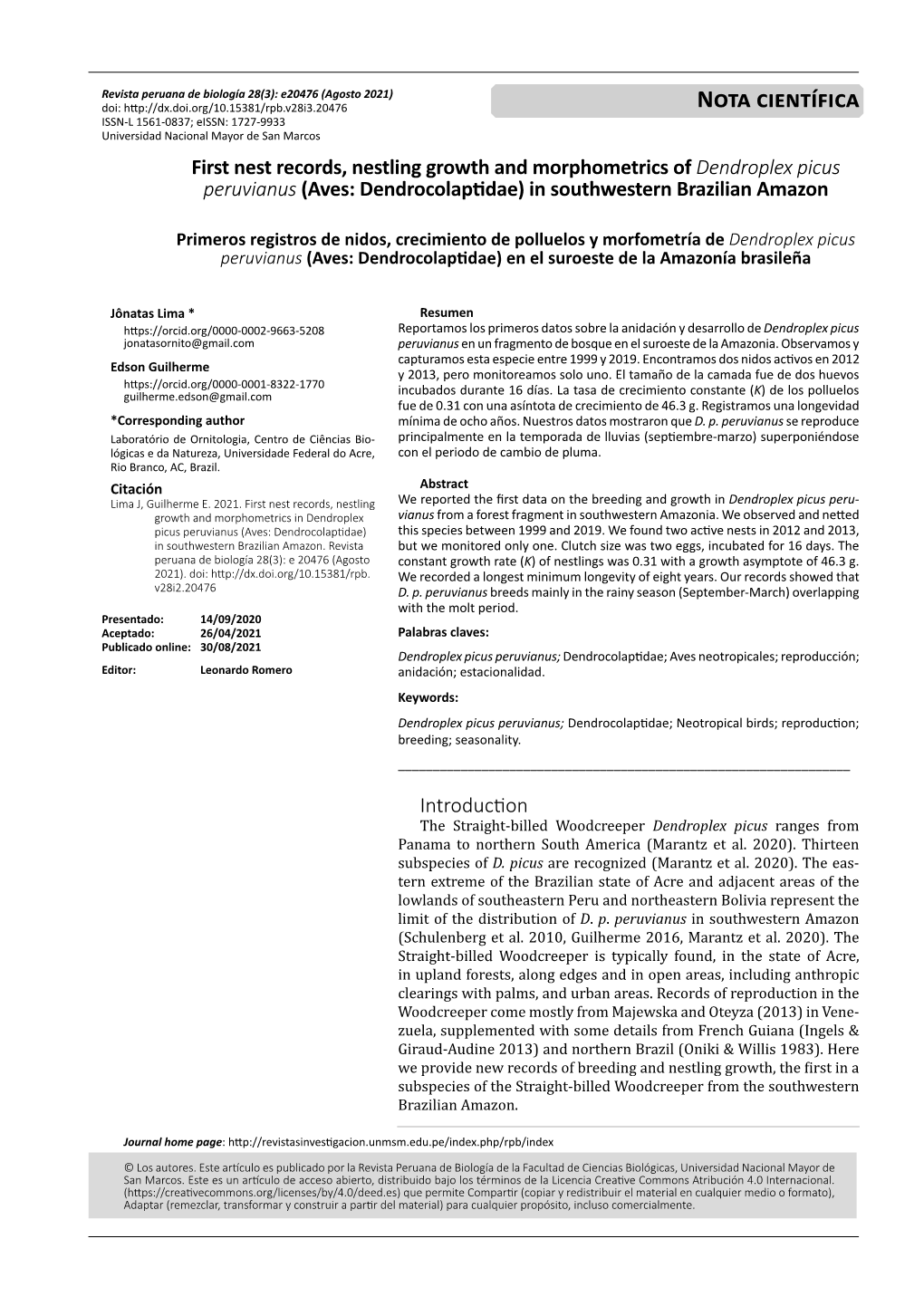 First Nest Records, Nestling Growth and Morphometrics of Dendroplex Picus Peruvianus (Aves: Dendrocolaptidae) in Southwestern Brazilian Amazon