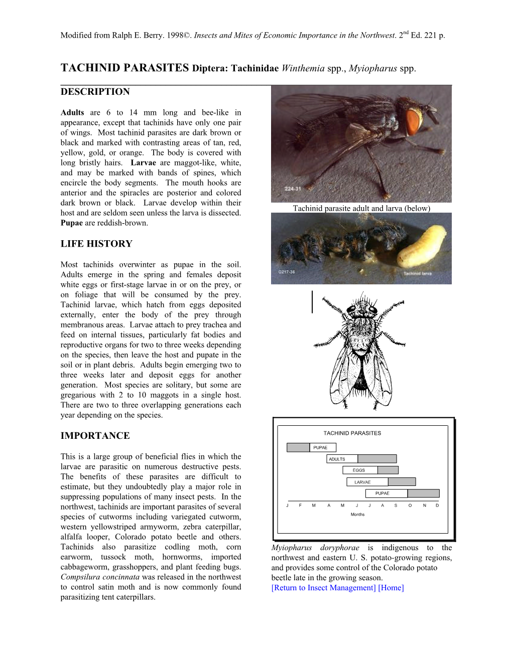 TACHINID PARASITES Diptera: Tachinidae Winthemia Spp., Myiopharus Spp