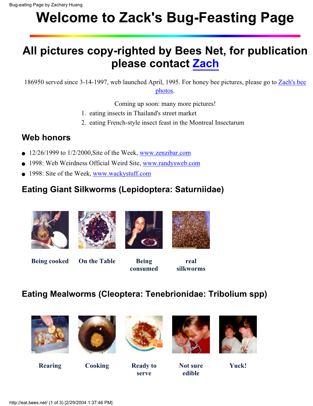 Bug-Eating Page by Zachary Huang Welcome to Zack's Bug-Feasting Page