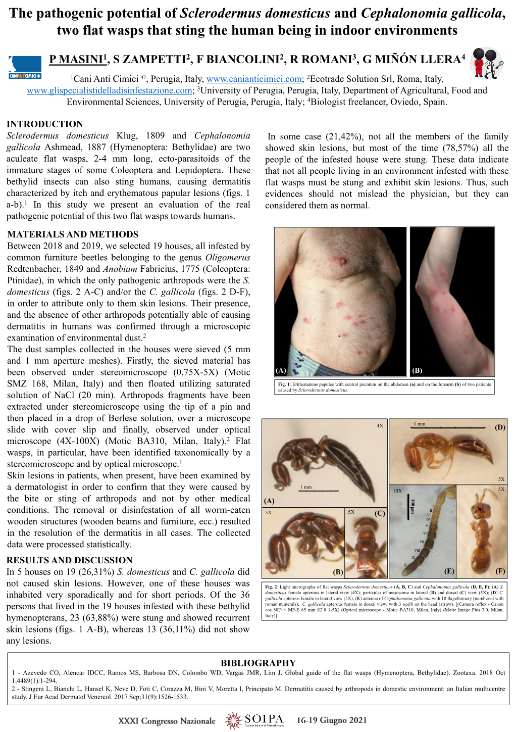 The Pathogenic Potential of Sclerodermus Domesticus and Cephalonomia Gallicola, Two Flat Wasps That Sting the Human Being in Indoor Environments