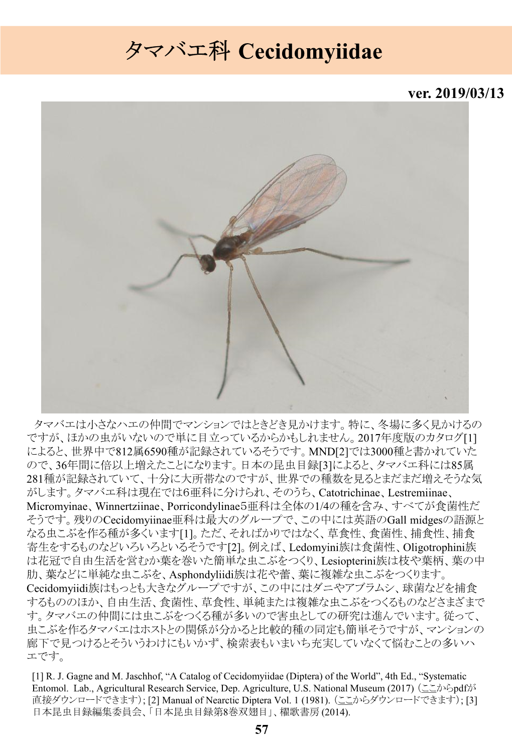 タマバエ科 Cecidomyiidae