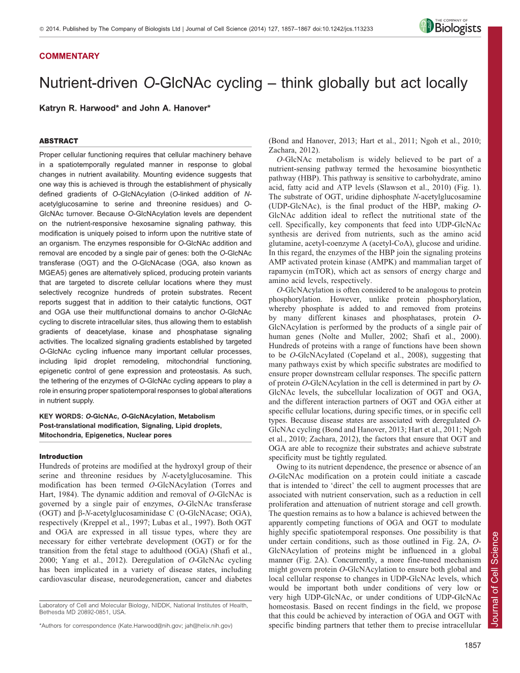 Nutrient-Driven O-Glcnac Cycling – Think Globally but Act Locally