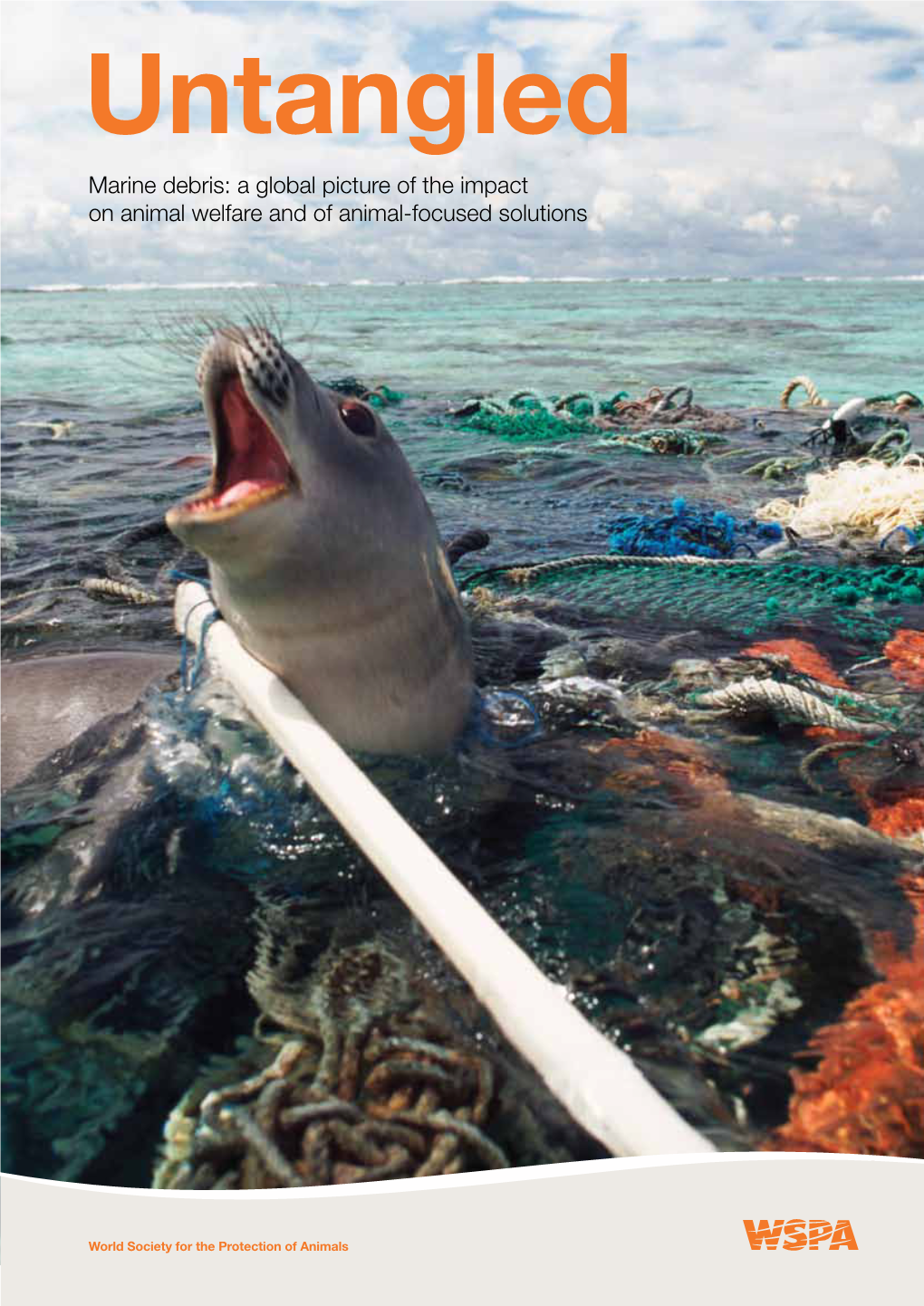 Marine Debris: a Global Picture of the Impact on Animal Welfare and of Animal-Focused Solutions