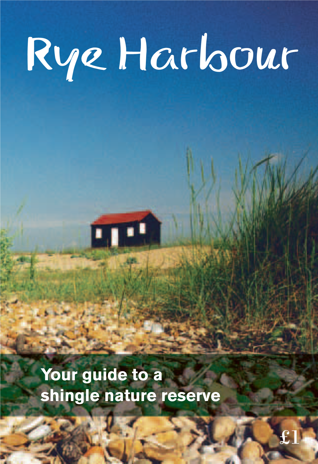 Rye Harbour Your Guide to a Shingle Nature Reserve