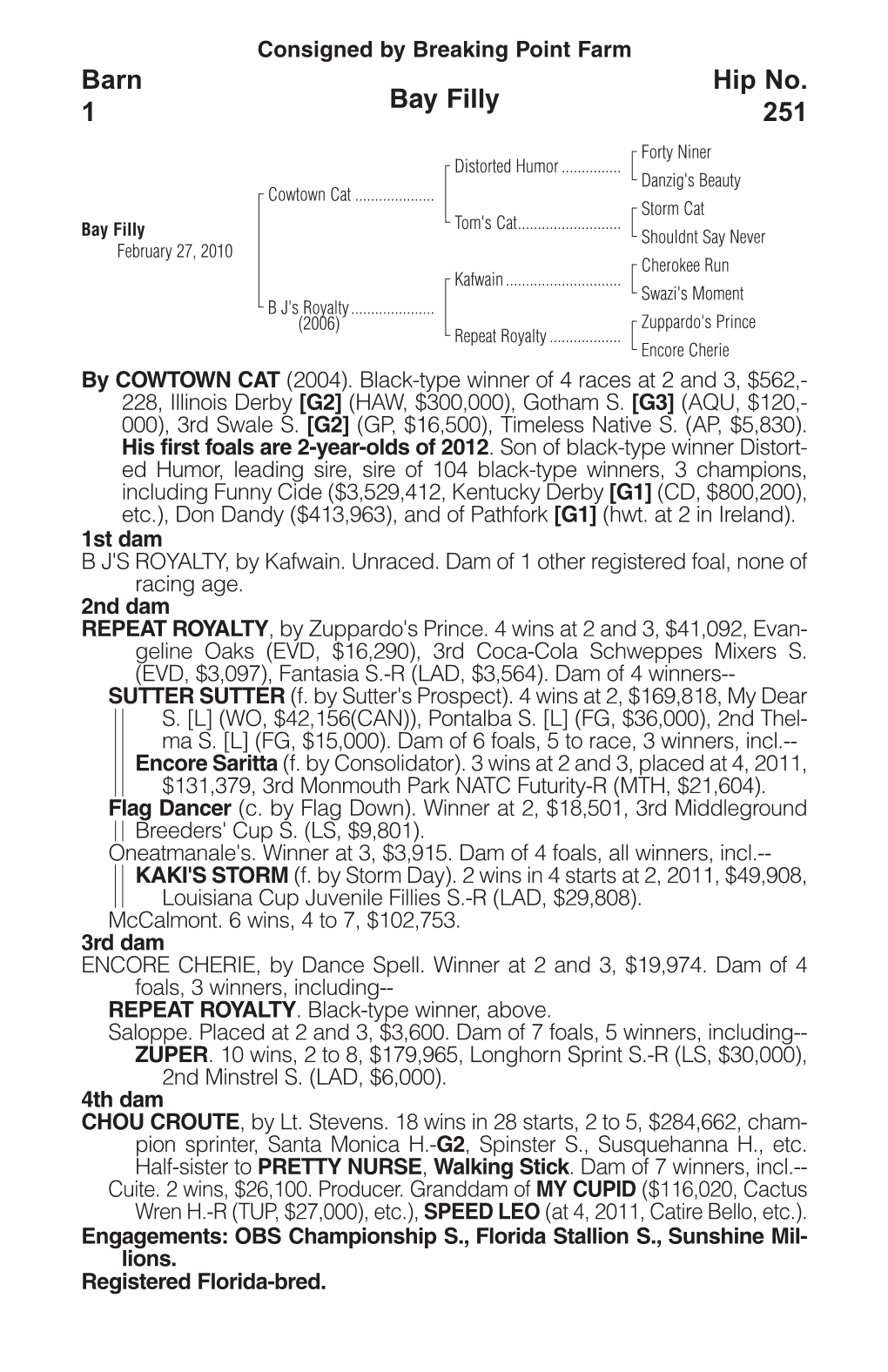 Bay Filly Barn 1 Hip No