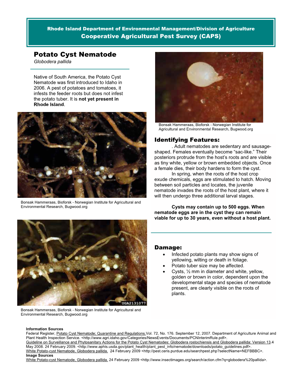 RI DEM/Agriculture Potato Cyst Nematode Fact Sheet