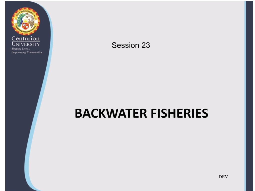 23. Backwater Fisheries