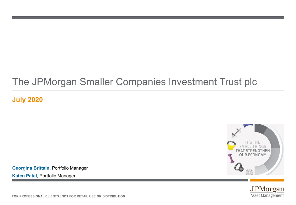 The Jpmorgan Smaller Companies Investment Trust Plc