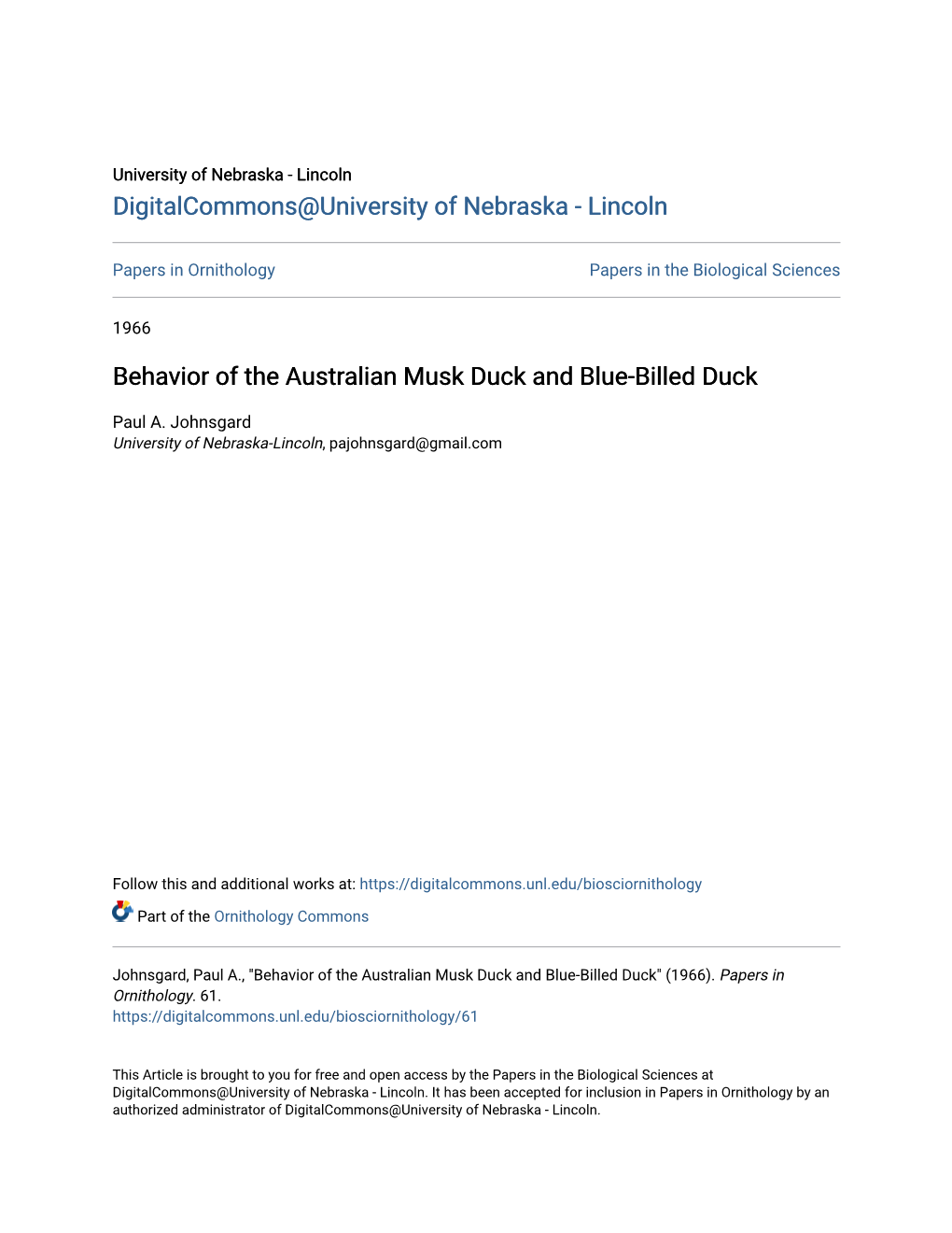 Behavior of the Australian Musk Duck and Blue-Billed Duck