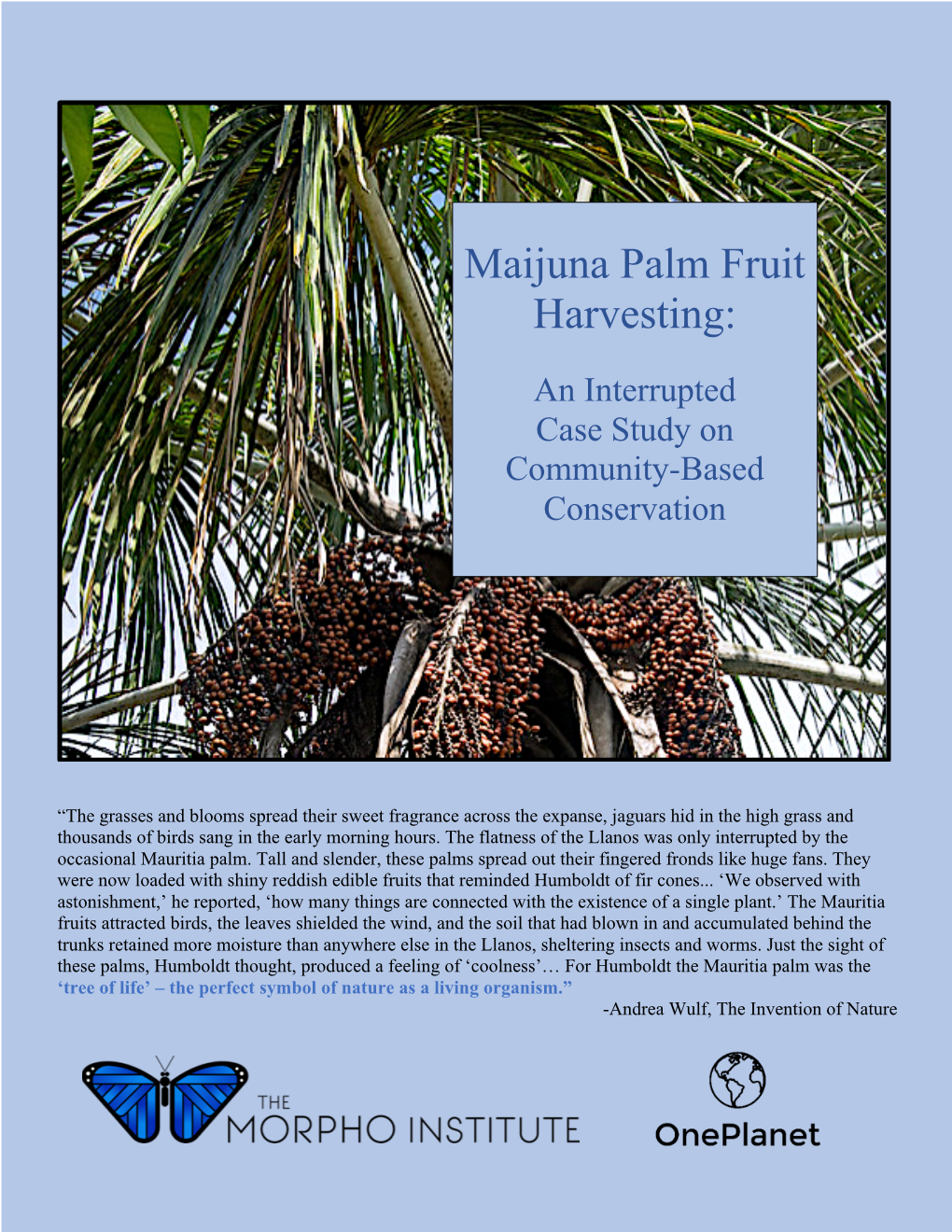 Morpho Institute Aguaje Palm Case Study 2020