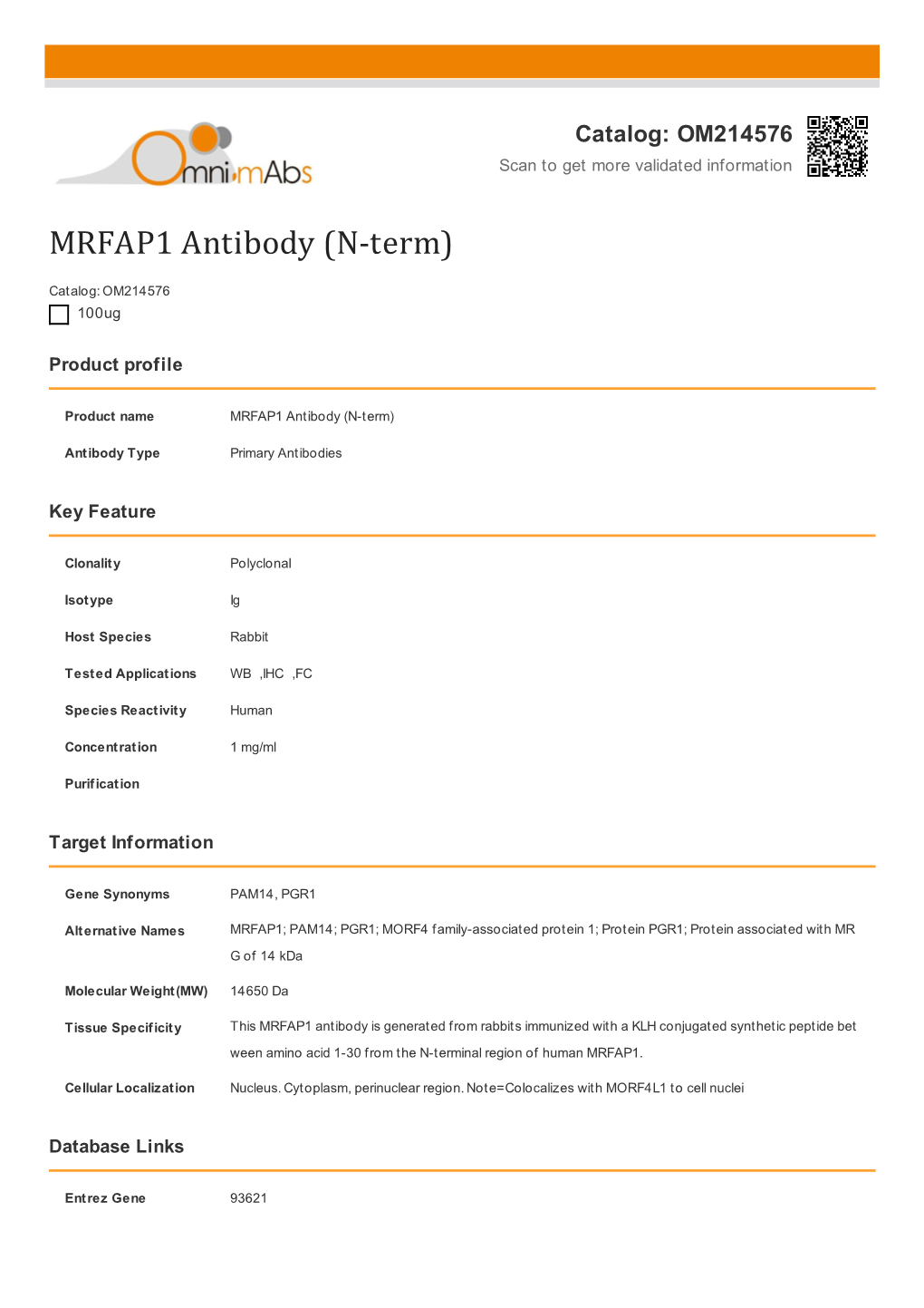 MRFAP1 Antibody (N-Term)