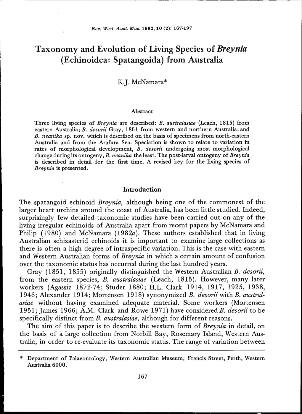 Taxonomy and Evolution of Living Species of Breynia (Echinoidea: Spatangoida) from Australia