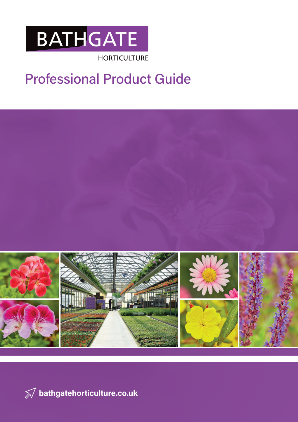 Professional Product Guide