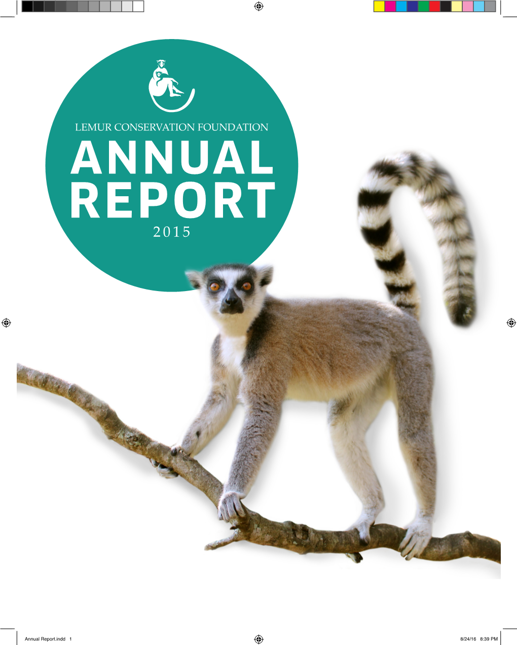 Annual Report 2015