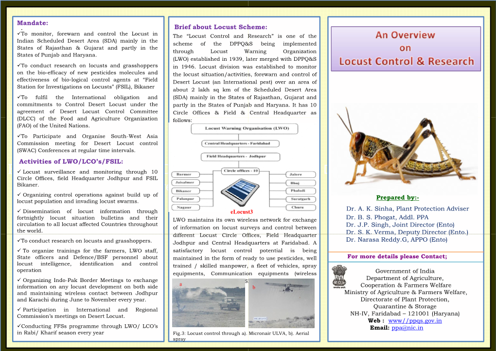 Fig.2: A). Life Cycle of Desert Locust, B. Extended Abdomen Ready for Egg Laying Sert Locust, B.Female Desert Locust with Dy F