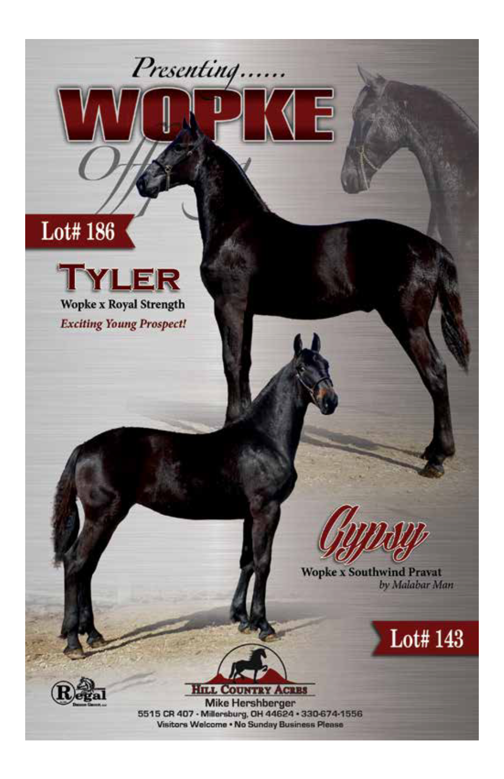 2019 Superior Friesian Catalog.Pdf