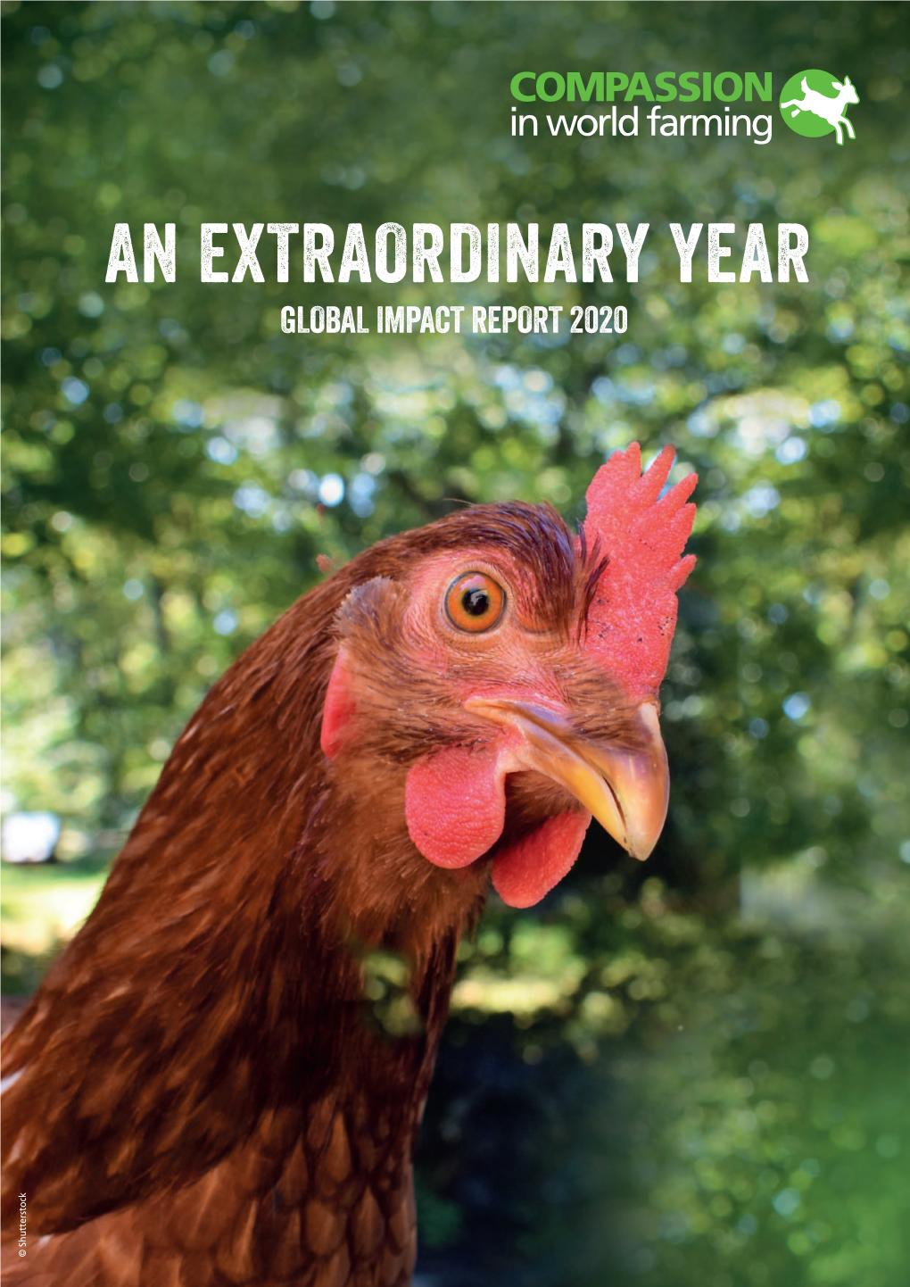 An Extraordinary Year