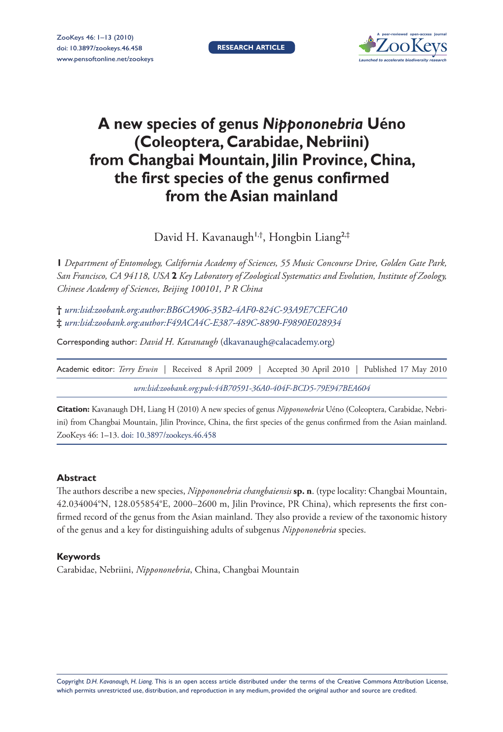 (Coleoptera, Carabidae, Nebriini) from Changbai Mountain, Jilin Province, China, the First Species of the Genus Confirmed from the Asian Mainland