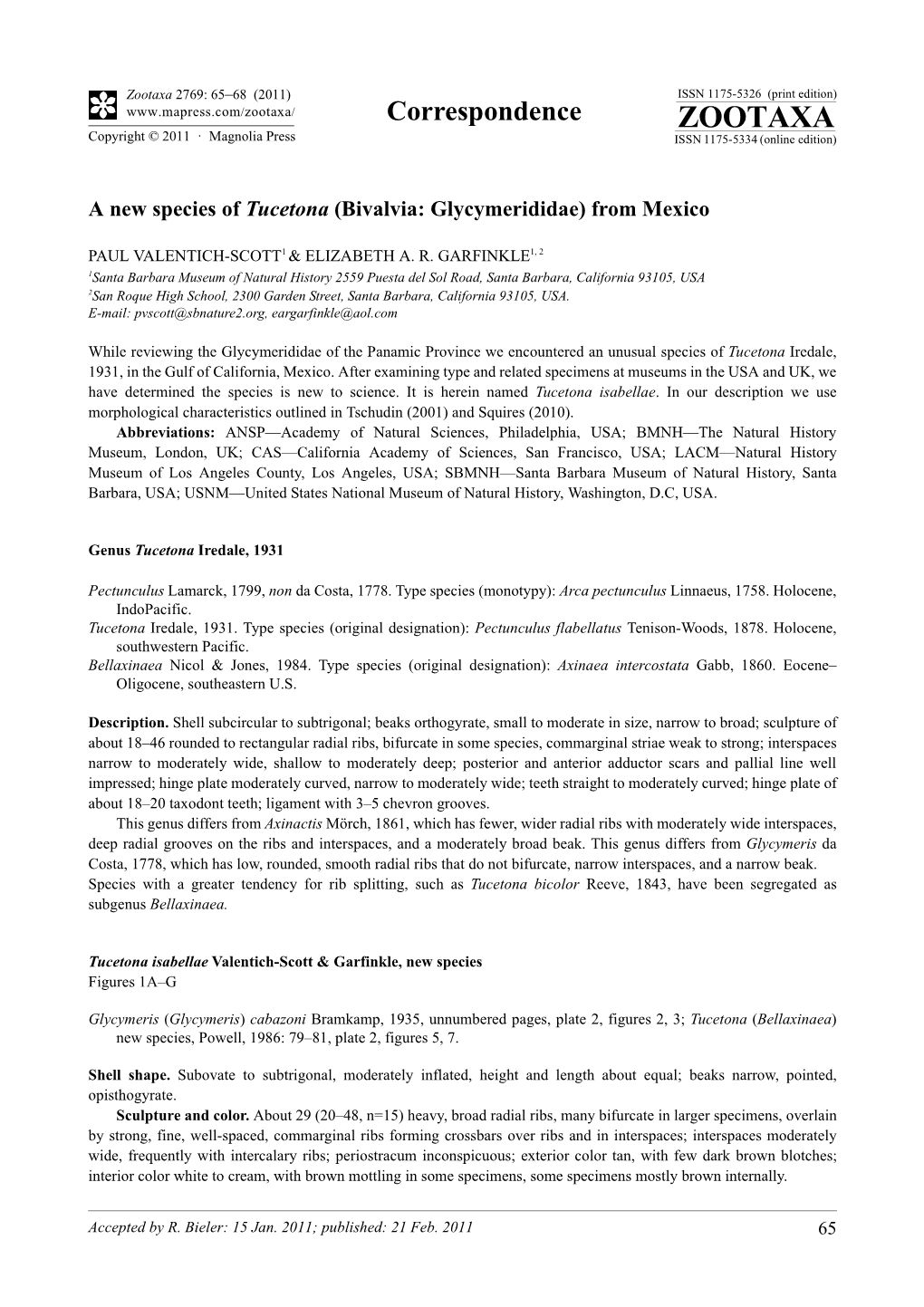 A New Species of Tucetona (Bivalvia: Glycymerididae) from Mexico