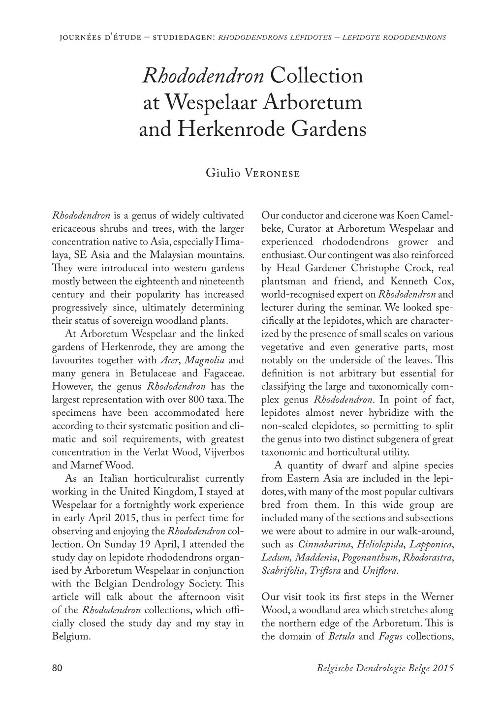 Rhododendron Collection at Wespelaar Arboretum and Herkenrode Gardens