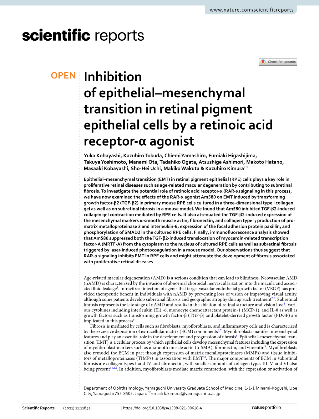 Inhibition of Epithelial–Mesenchymal Transition in Retinal Pigment