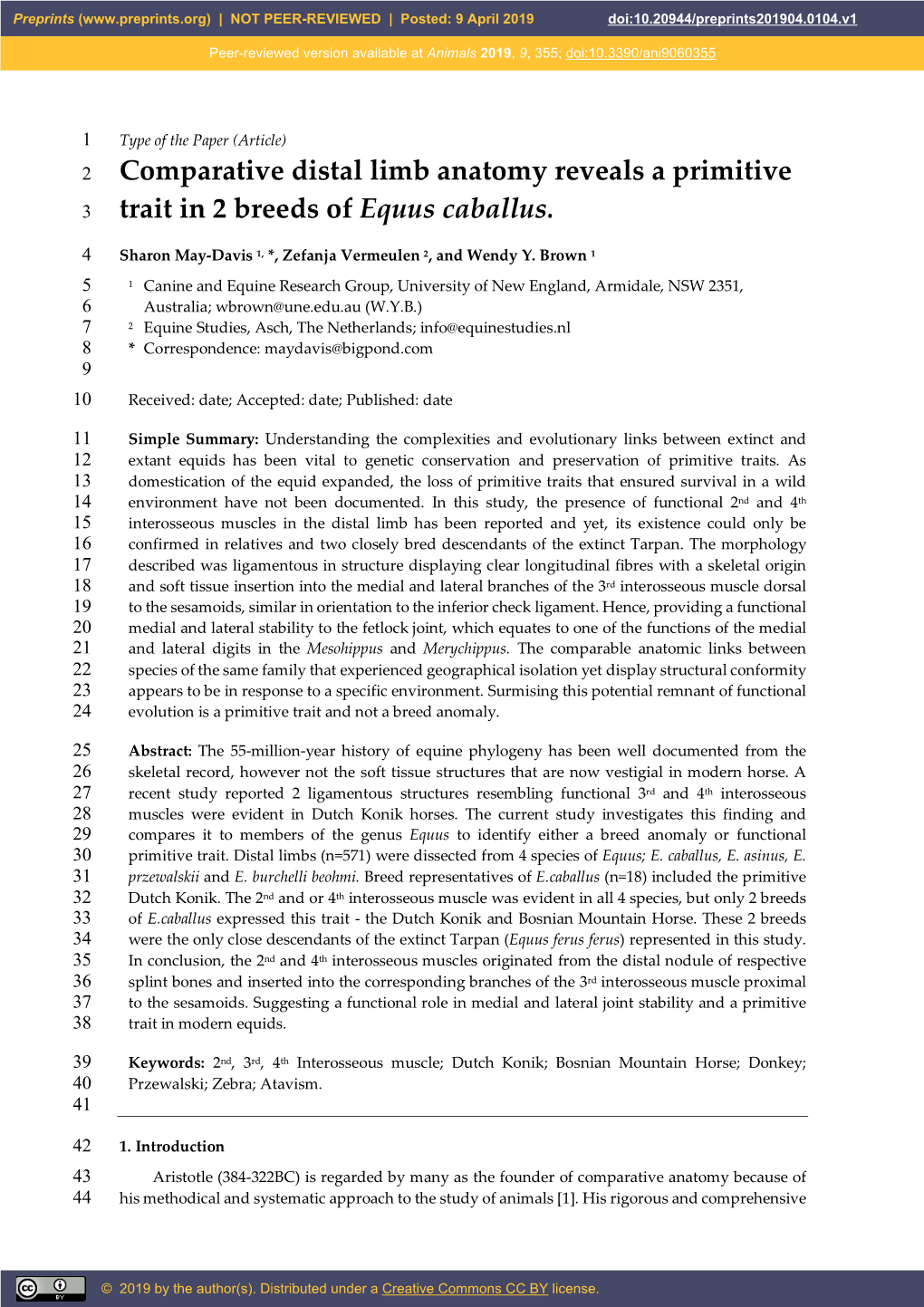 Comparative Distal Limb Anatomy Reveals a Primitive Trait in 2 Breeds of Equus Caballus