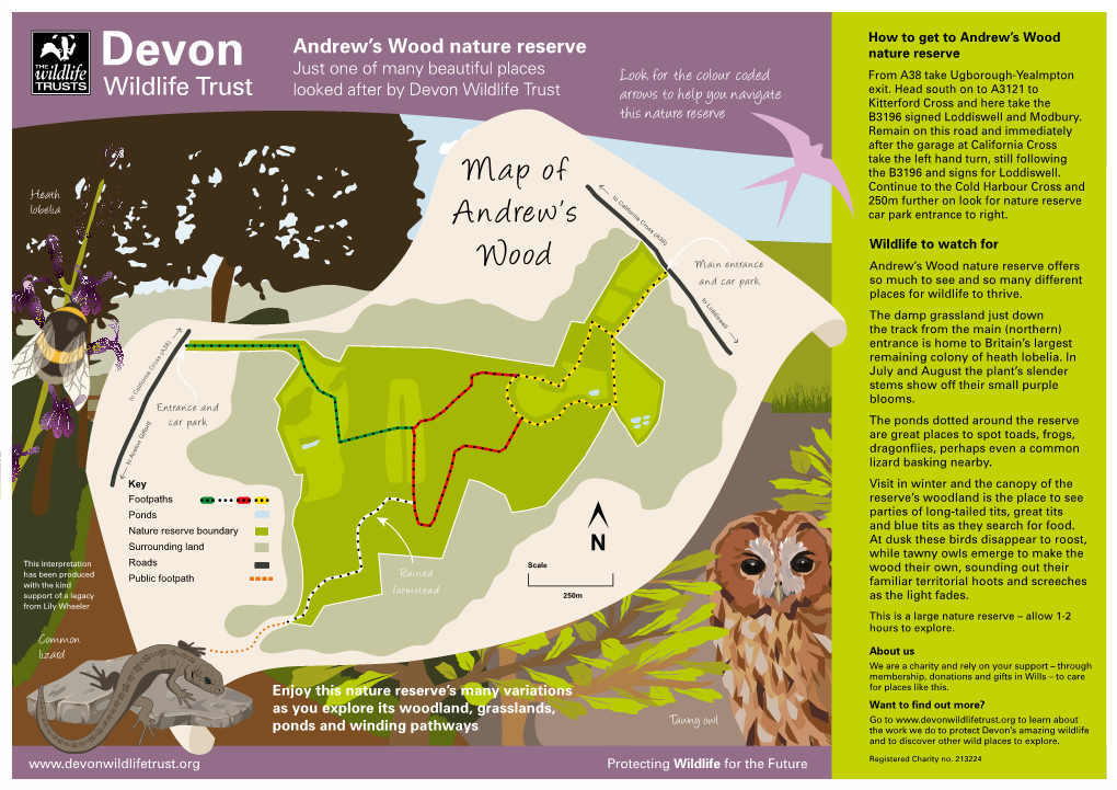 Map of Andrew's Wood