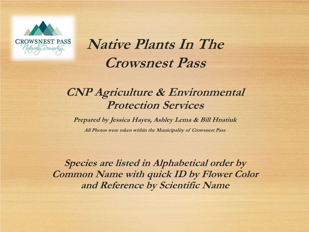 Native Plants in the Crowsnest Pass