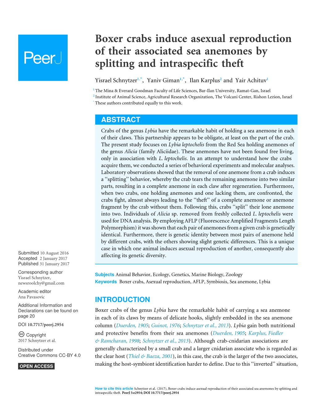 Boxer Crabs Induce Asexual Reproduction of Their Associated Sea Anemones by Splitting and Intraspecific Theft