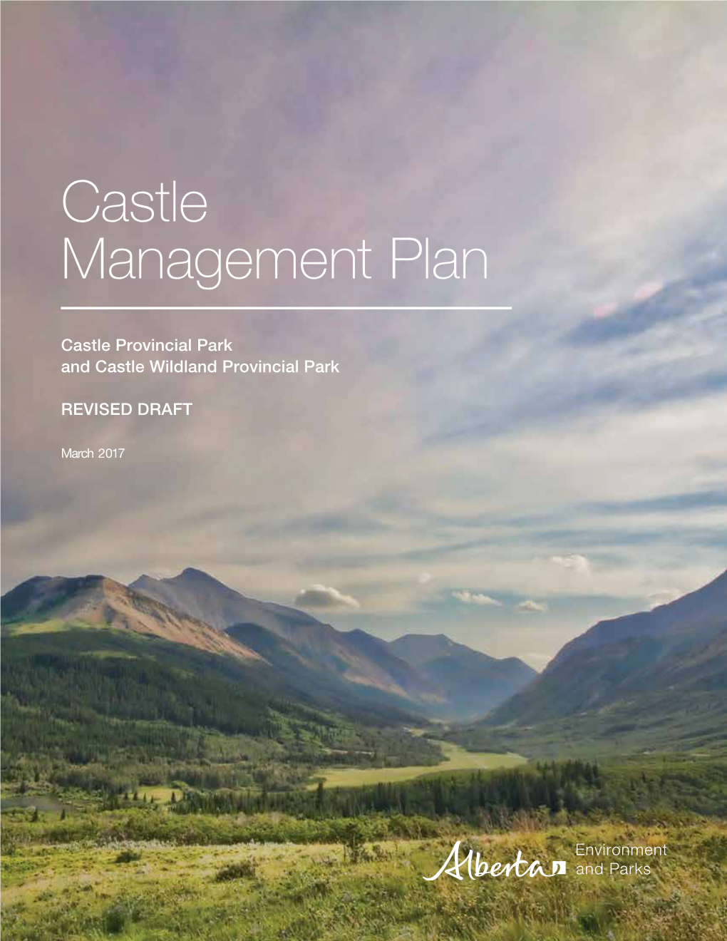 Castle Management Plan