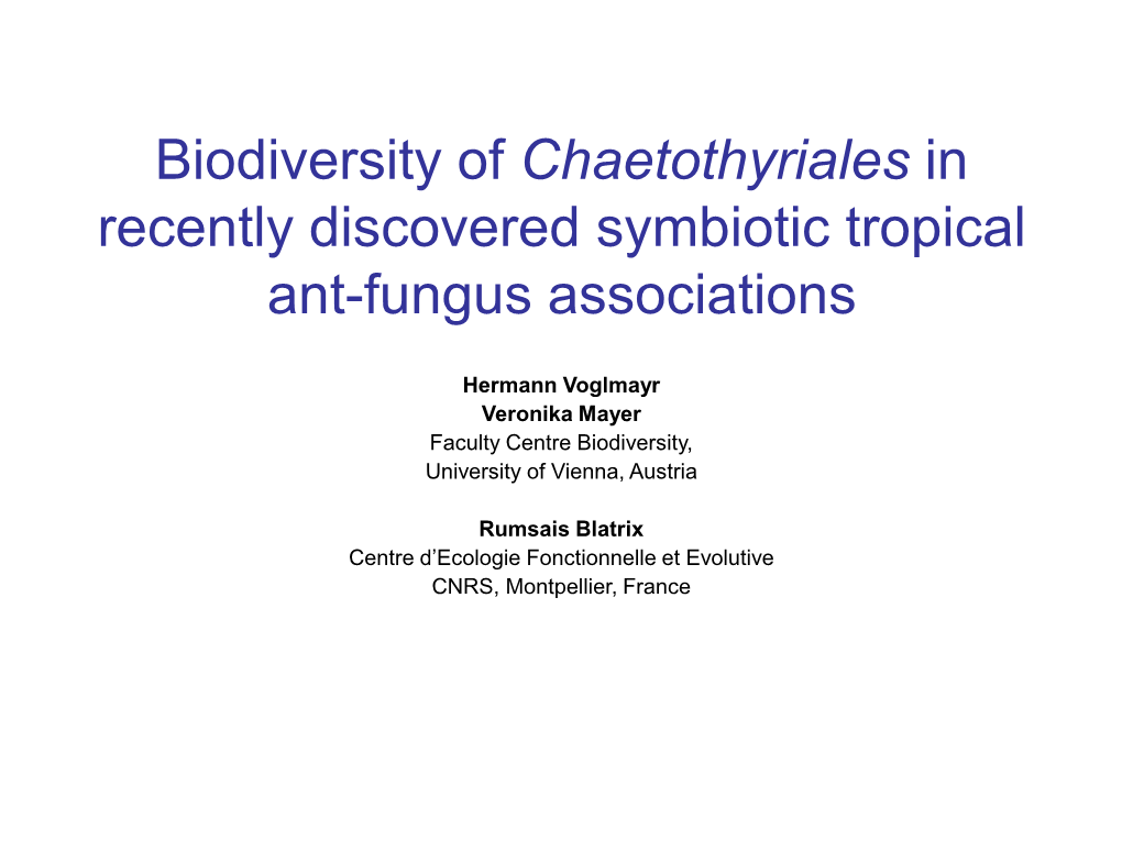 Biodiversity of Chaetothyriales in Recently Discovered Symbiotic Tropical Ant-Fungus Associations