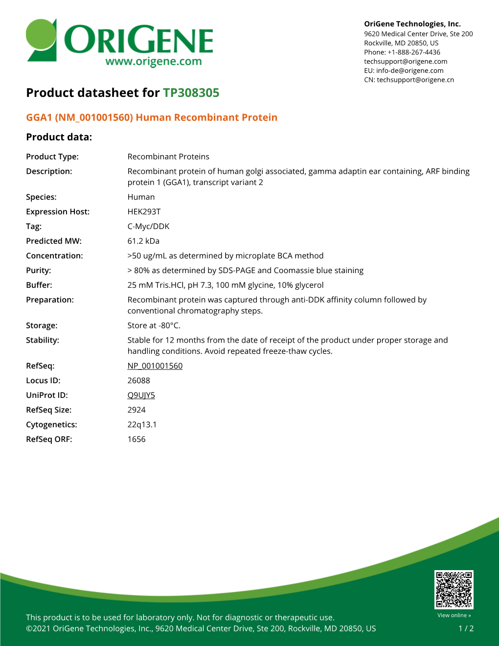GGA1 (NM 001001560) Human Recombinant Protein Product Data