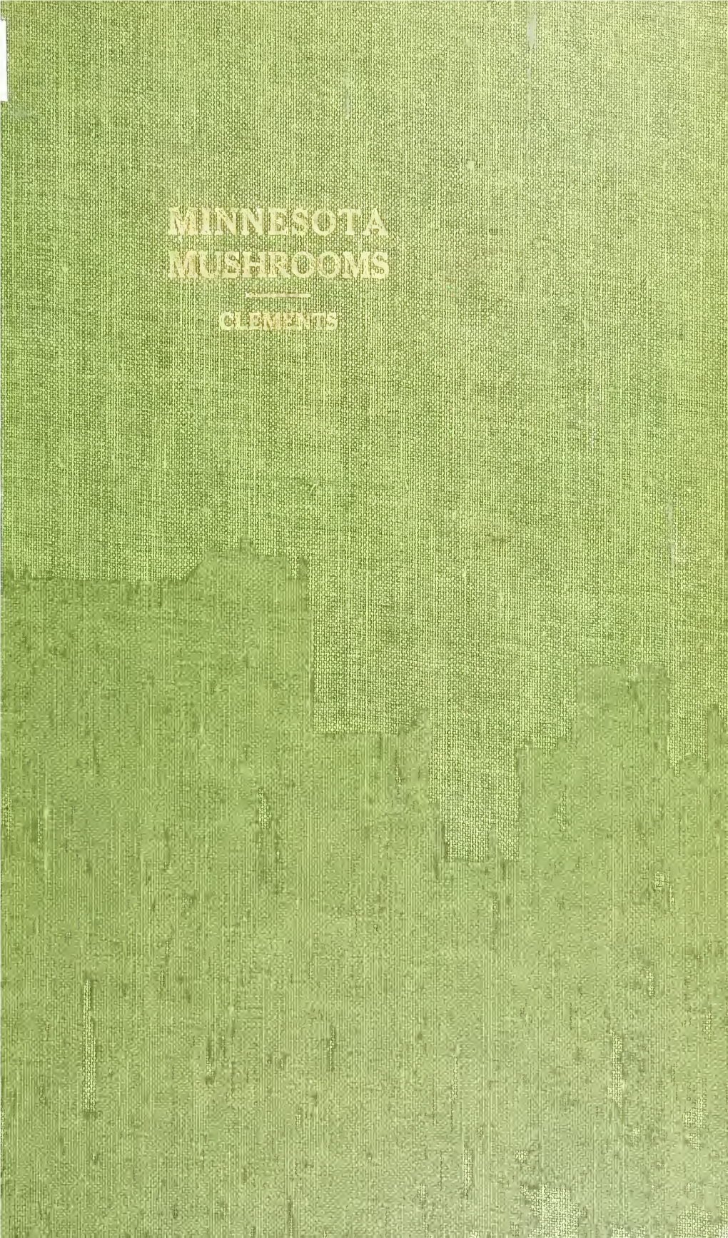 Minnesota Mushrooms