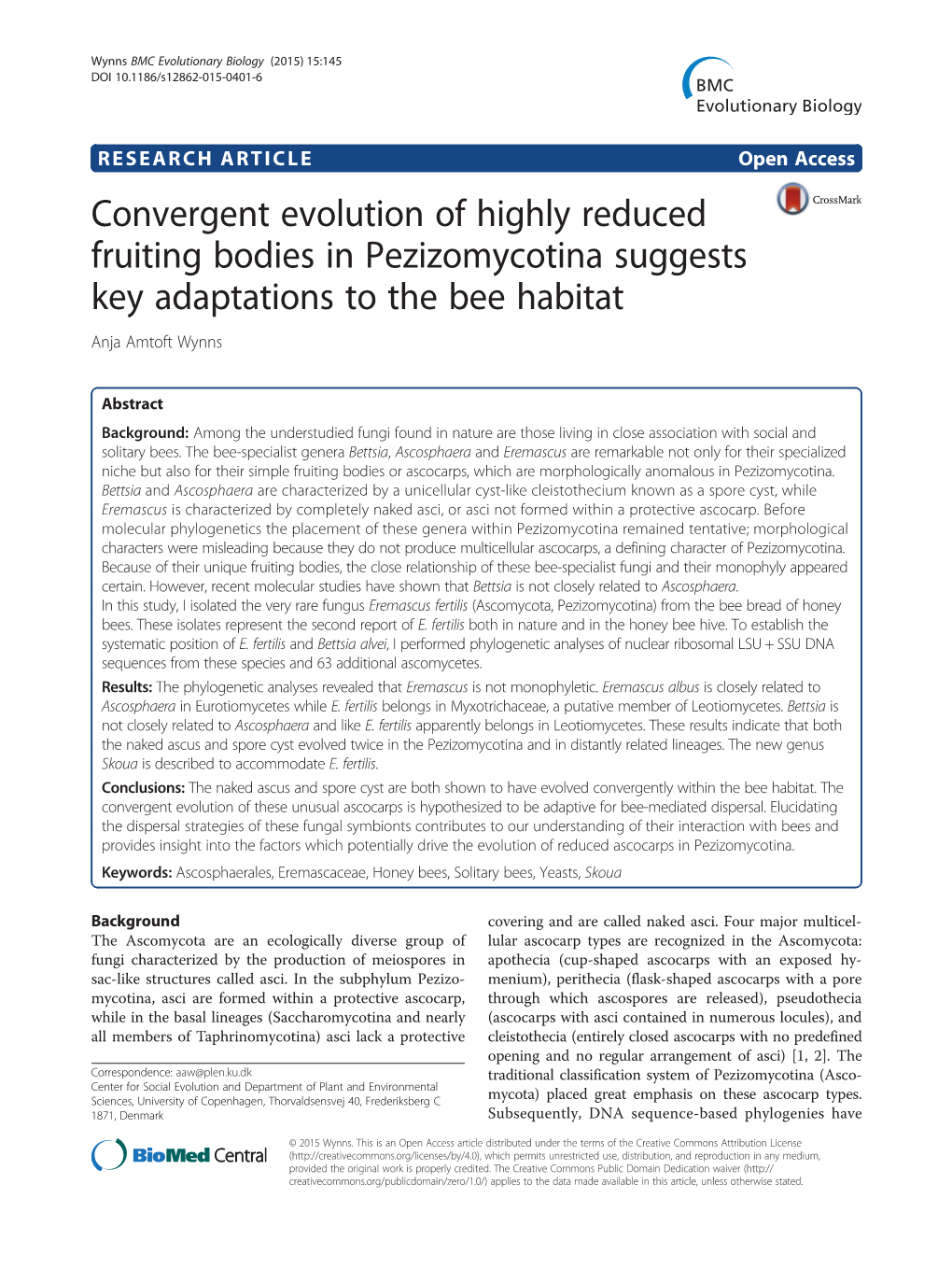 Convergent Evolution of Highly Reduced Fruiting Bodies in Pezizomycotina Suggests Key Adaptations to the Bee Habitat Anja Amtoft Wynns