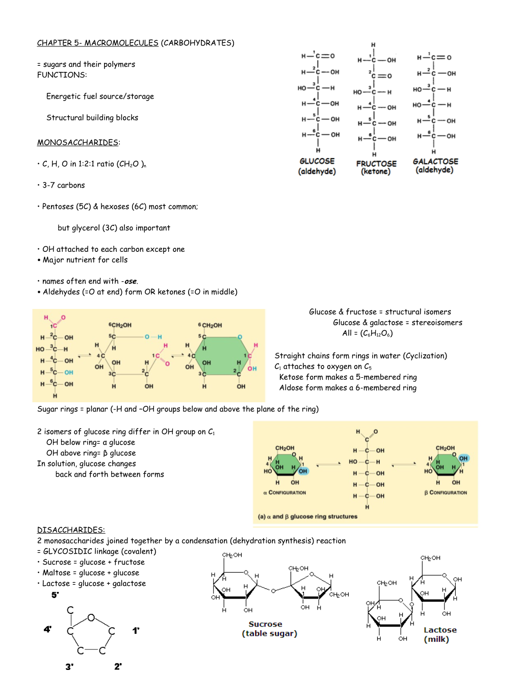 Aldehydes (=O at End) Form OR Ketones (=O in Middle)