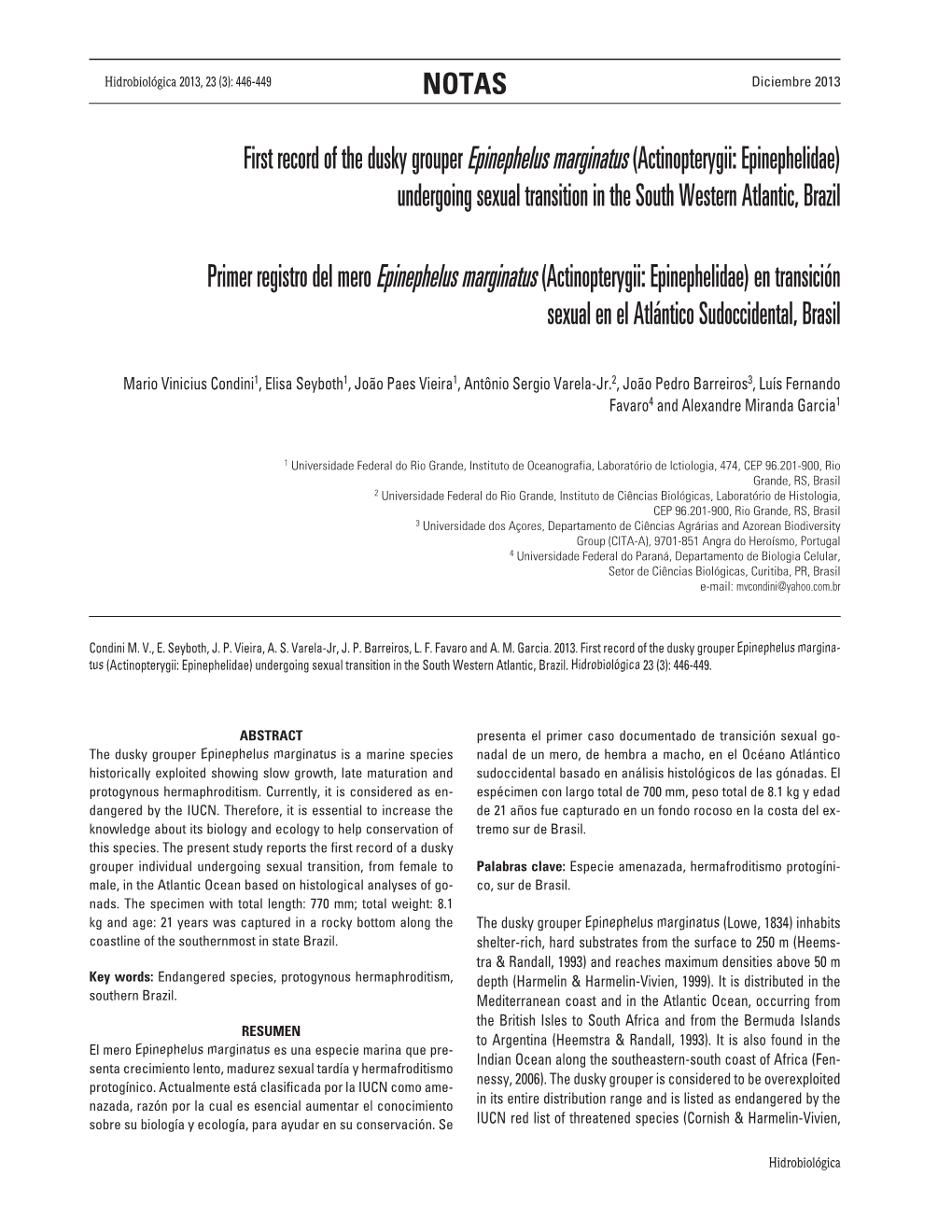 First Record of the Dusky Grouper Epinephelus Marginatus (Actinopterygii: Epinephelidae) Undergoing Sexual Transition in the South Western Atlantic, Brazil