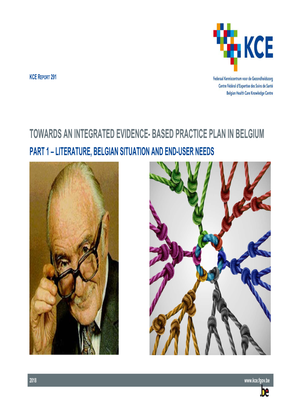 Based Practice Plan in Belgium Part 1 – Literature, Belgian Situation and End-User Needs