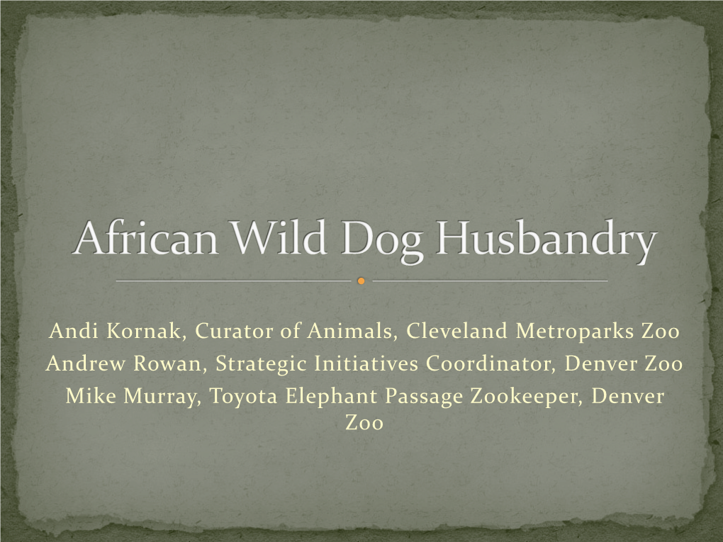 African Wild Dog Husbandry