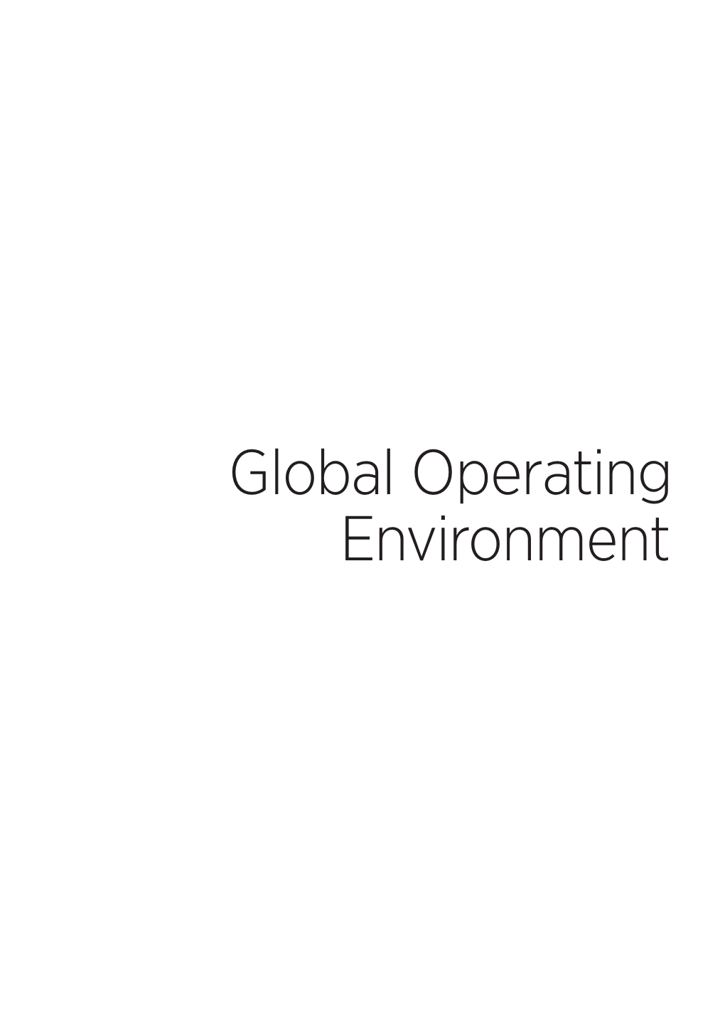 Global Operating Environment ‌