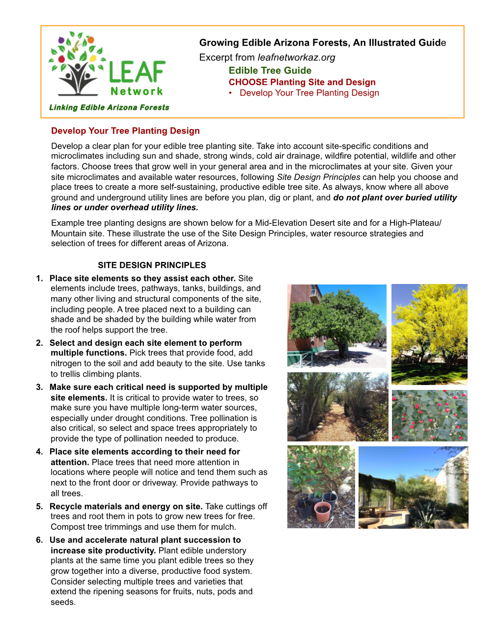 A PDF of Develop Tree Planting Design