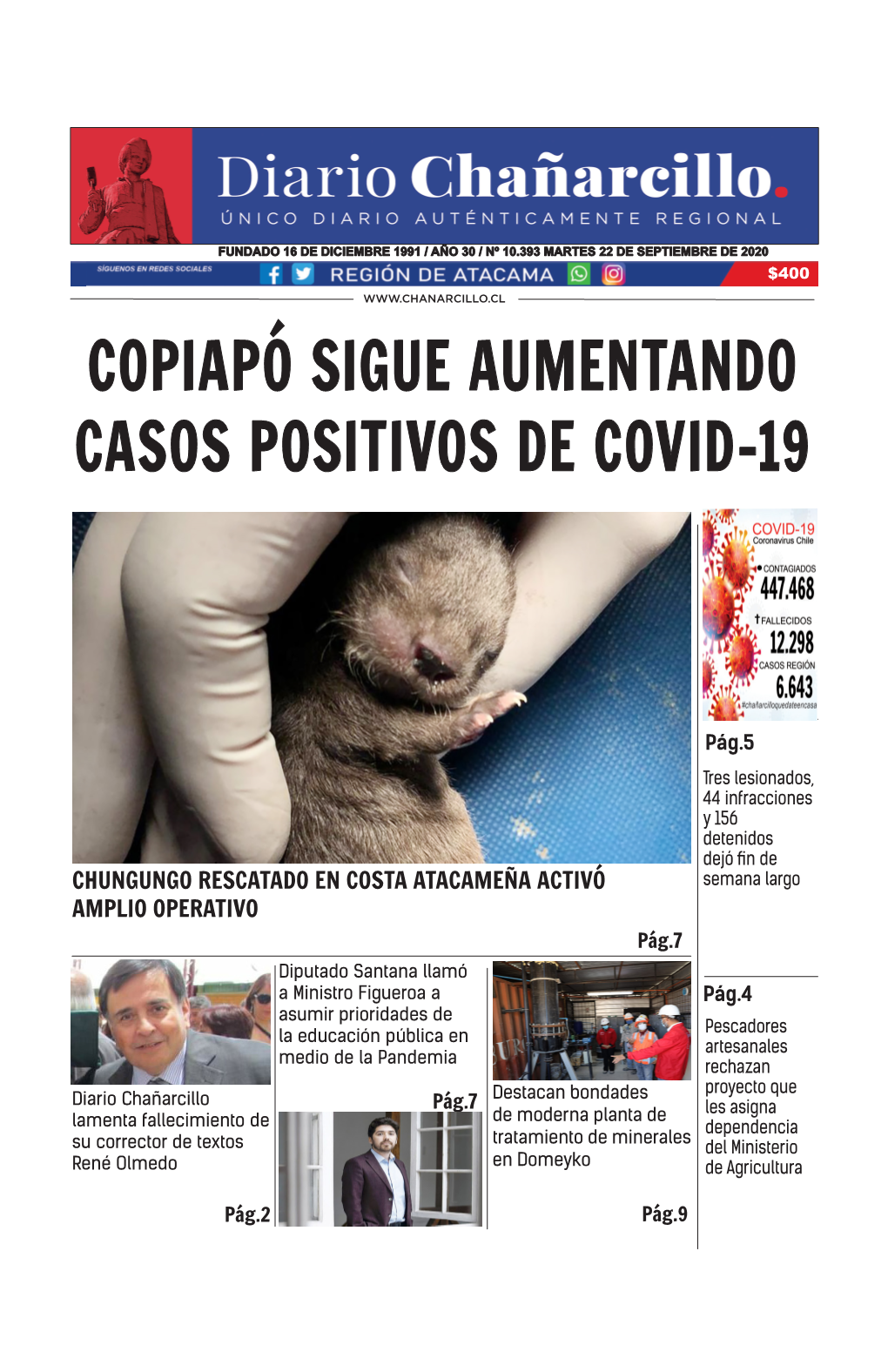 Copiapó Sigue Aumentando Casos Positivos De Covid-19