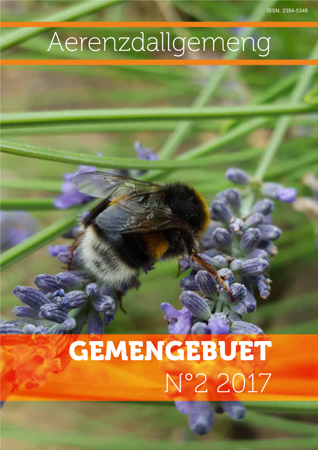 Gemengebuet N°2017/2