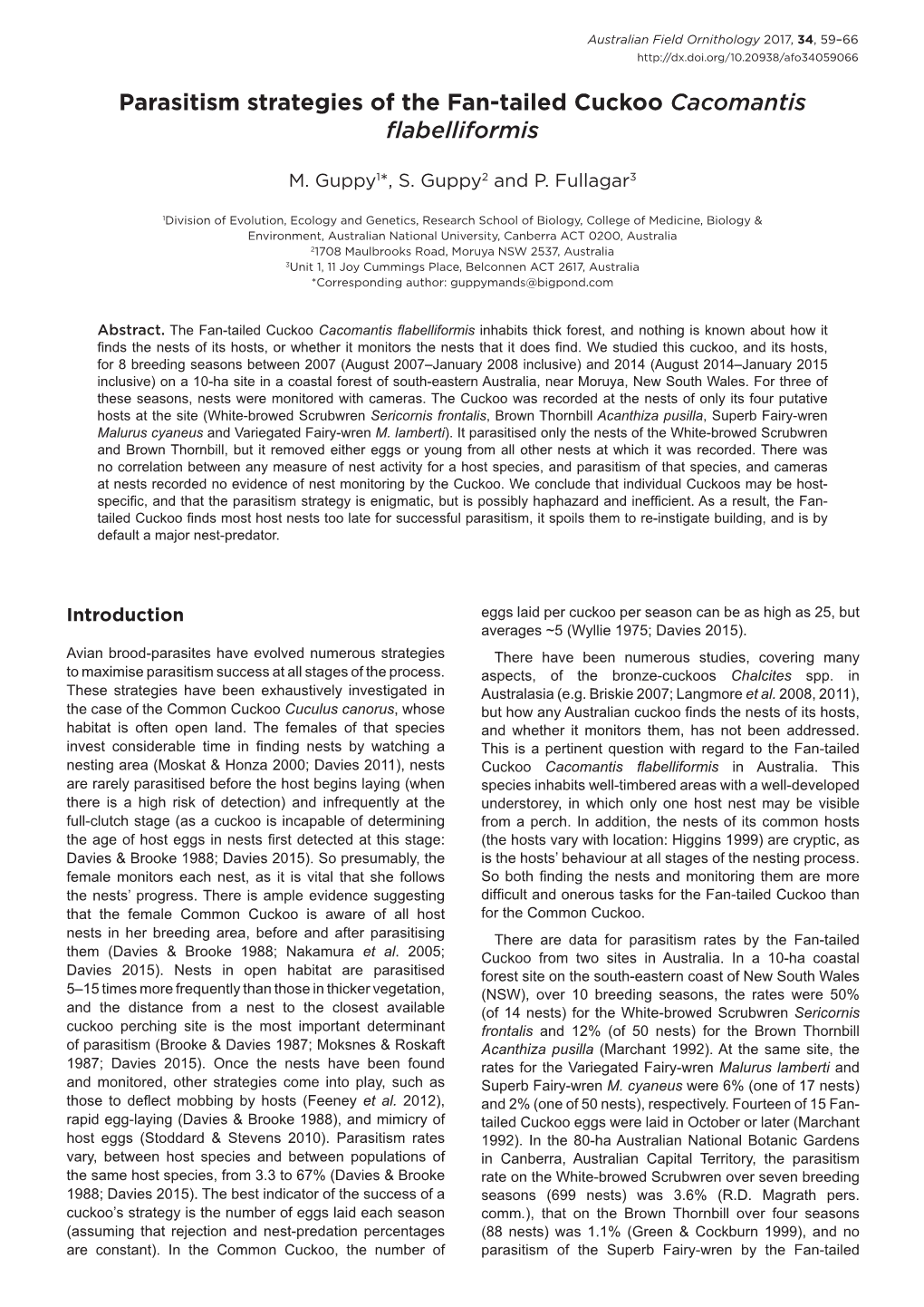 Parasitism Strategies of the Fan-Tailed Cuckoo Cacomantis Flabelliformis