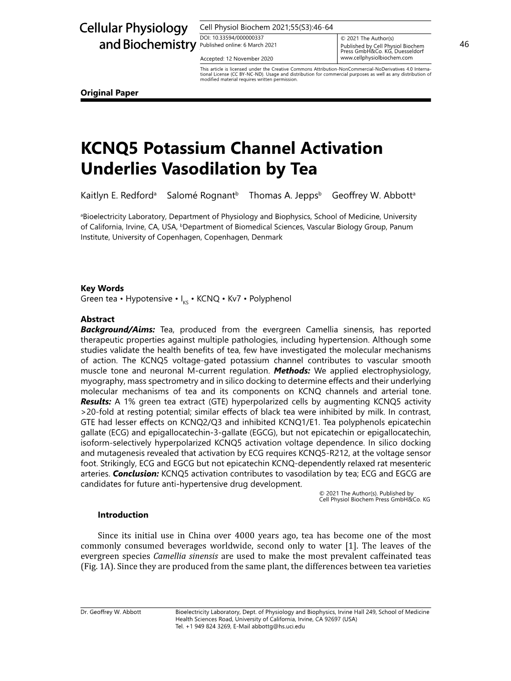 KCNQ5 Potassium Channel Activation Underlies Vasodilation by Tea